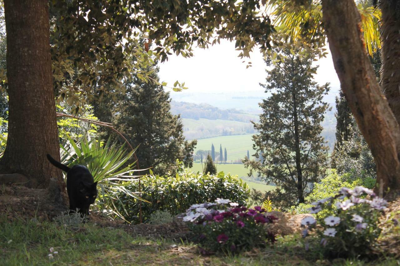 Bb Gli Aristogatti Bed & Breakfast Ghizzano Luaran gambar